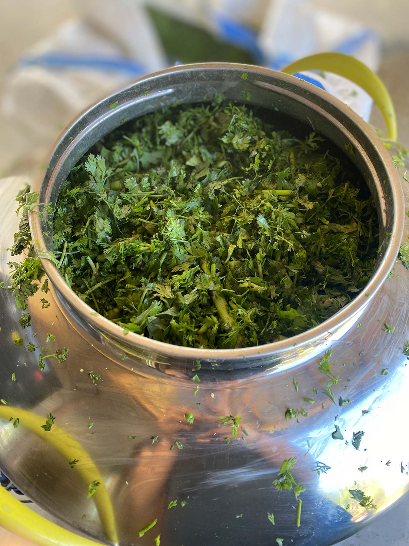 Koriander Tinktur Bio Koriander Tinktur Bio