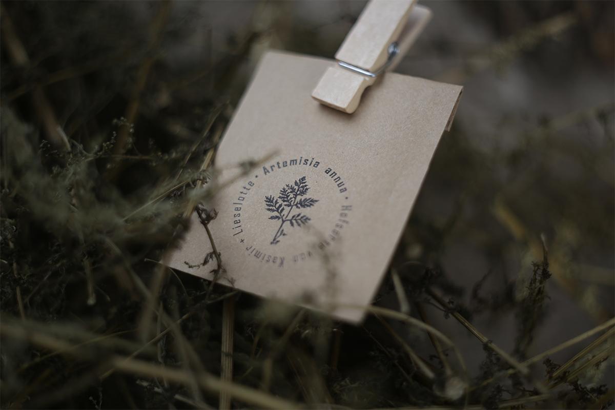 Samen Hofsorte Artemisia Annua - Auswahl: 10.000 Stück