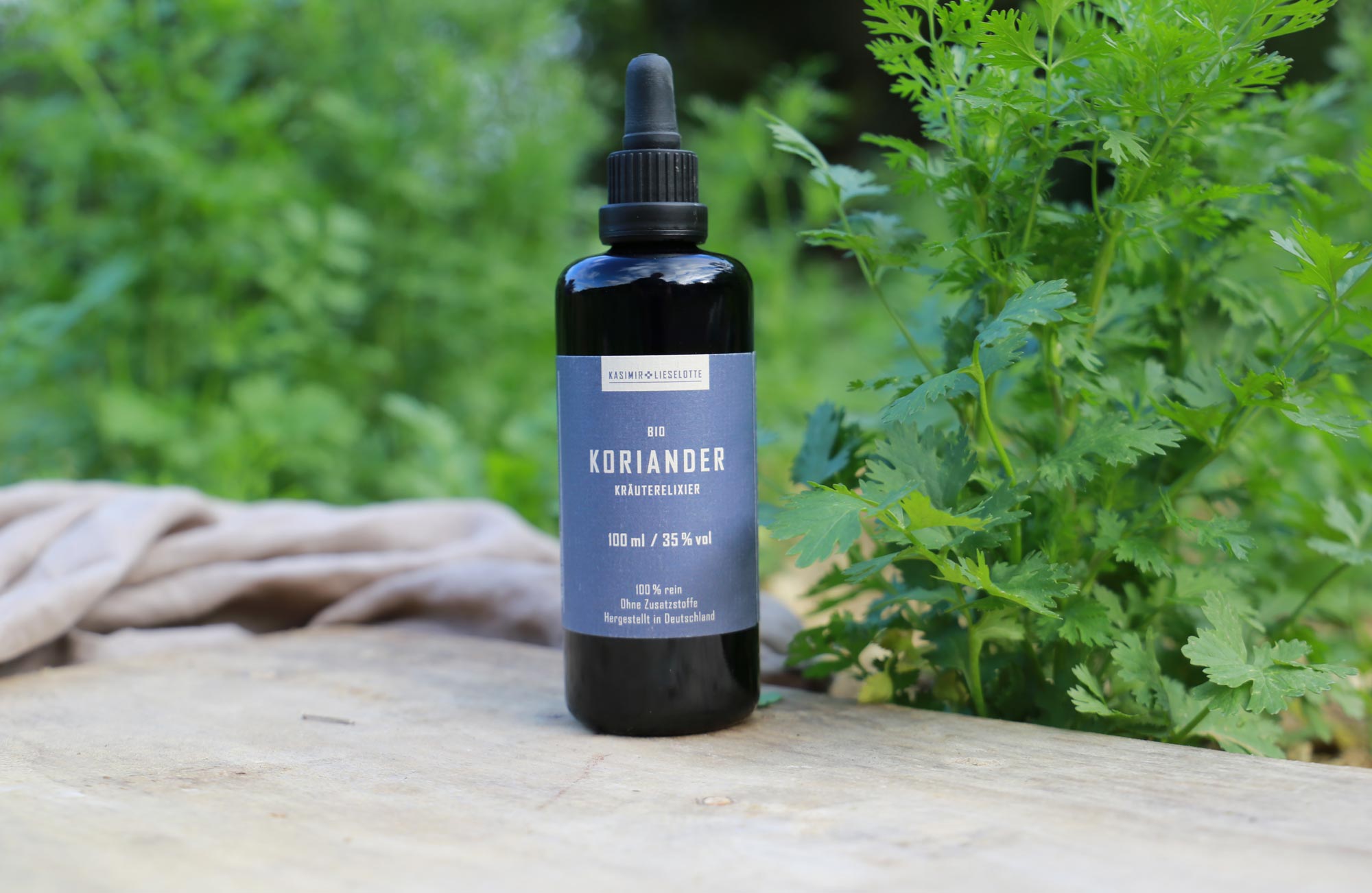 Koriander Tinktur Besonderheiten Koriander Tinktur Besonderheiten
