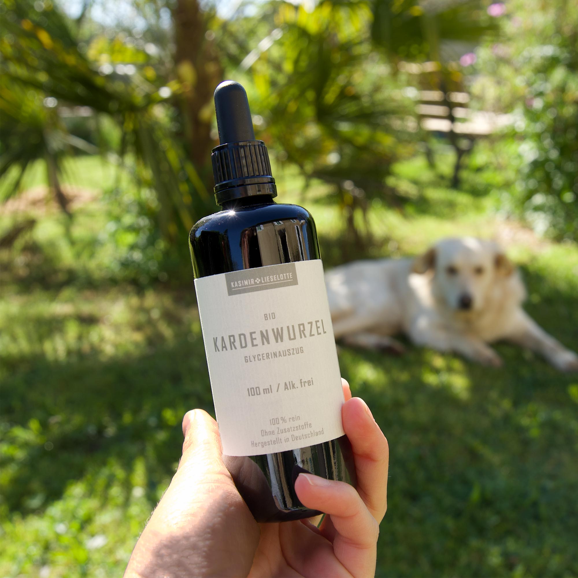 Karde Tinktur alkoholfrei Bio 100 ml