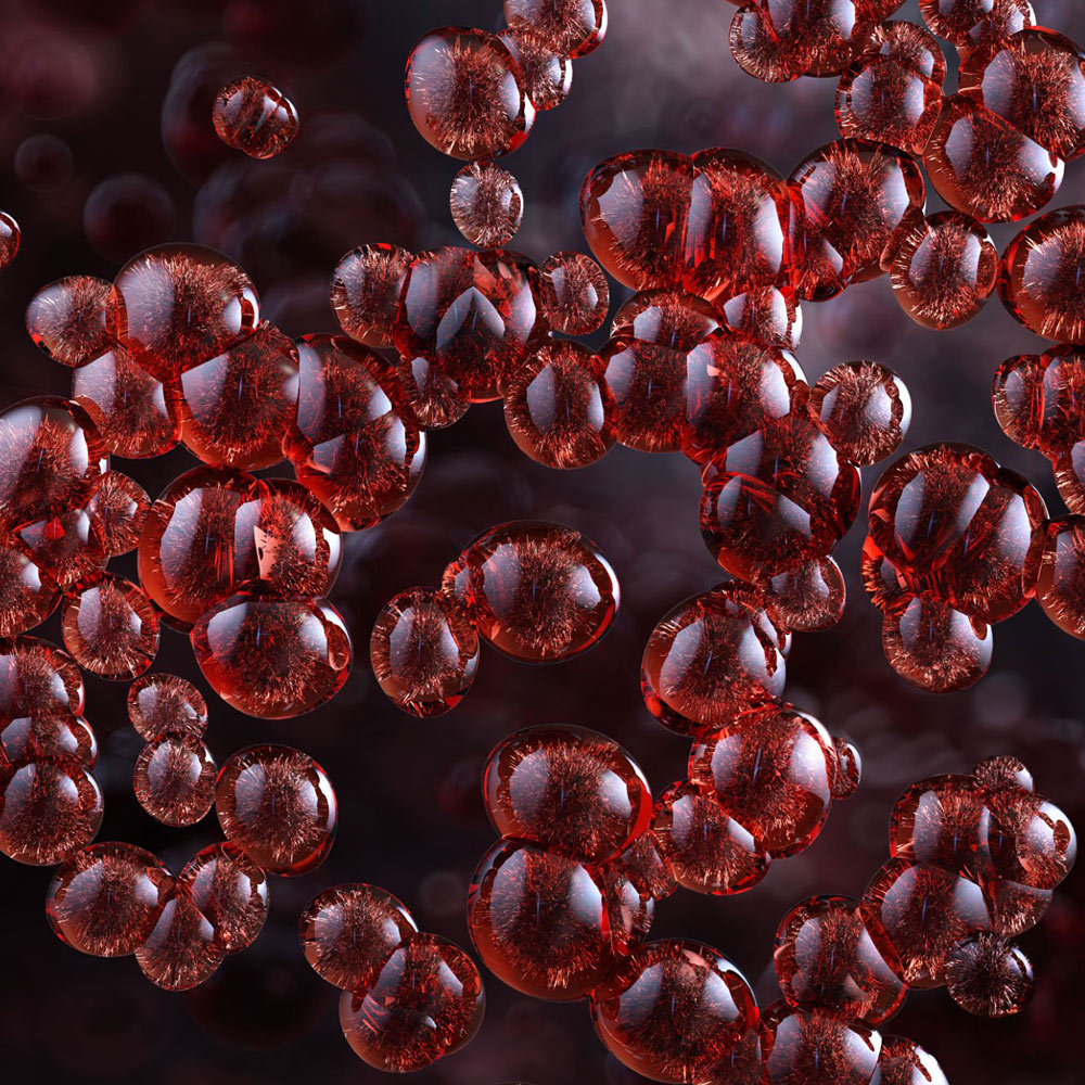 Astaxanthin Herstellung in der Kräutermanufaktur Astaxanthin Herstellung in der Kräutermanufaktur
