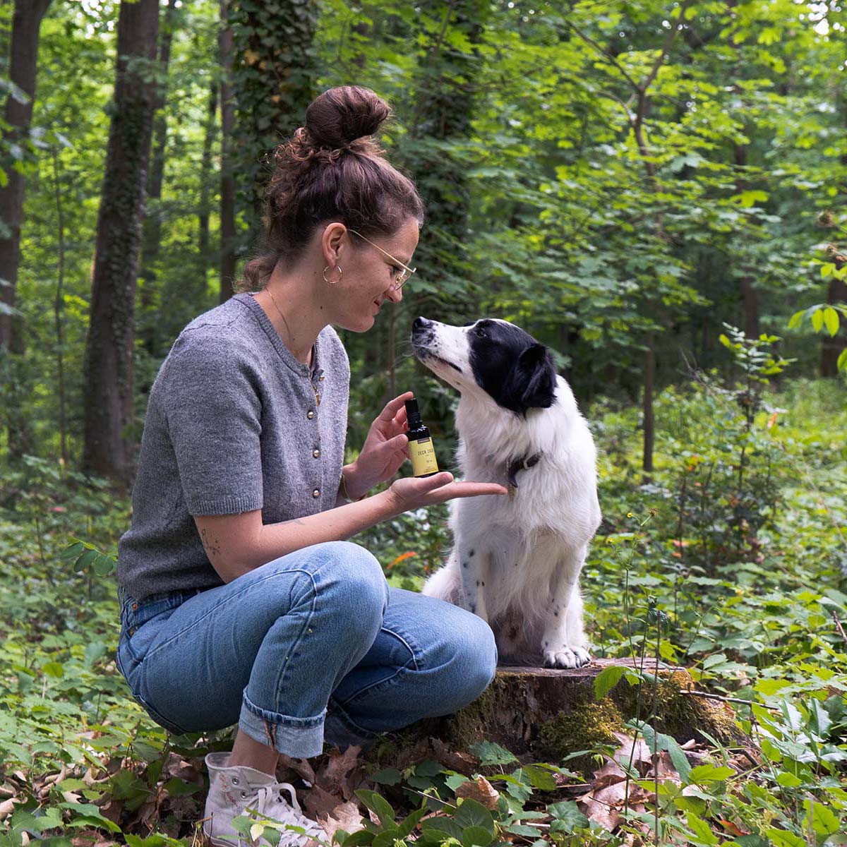 Zeck Zack für Mensch und Hund