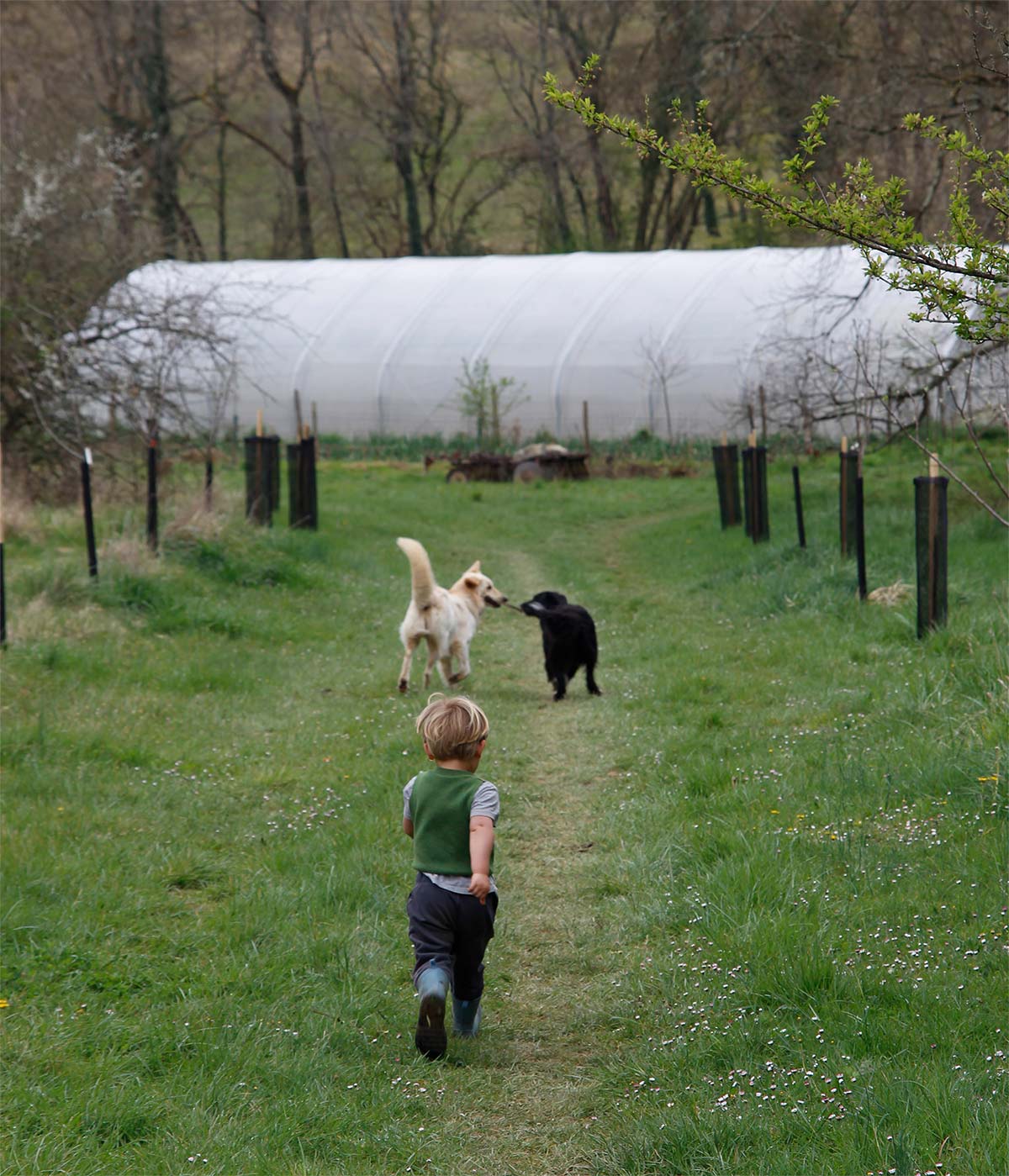 Hofleben Familienleben auf dem Hof