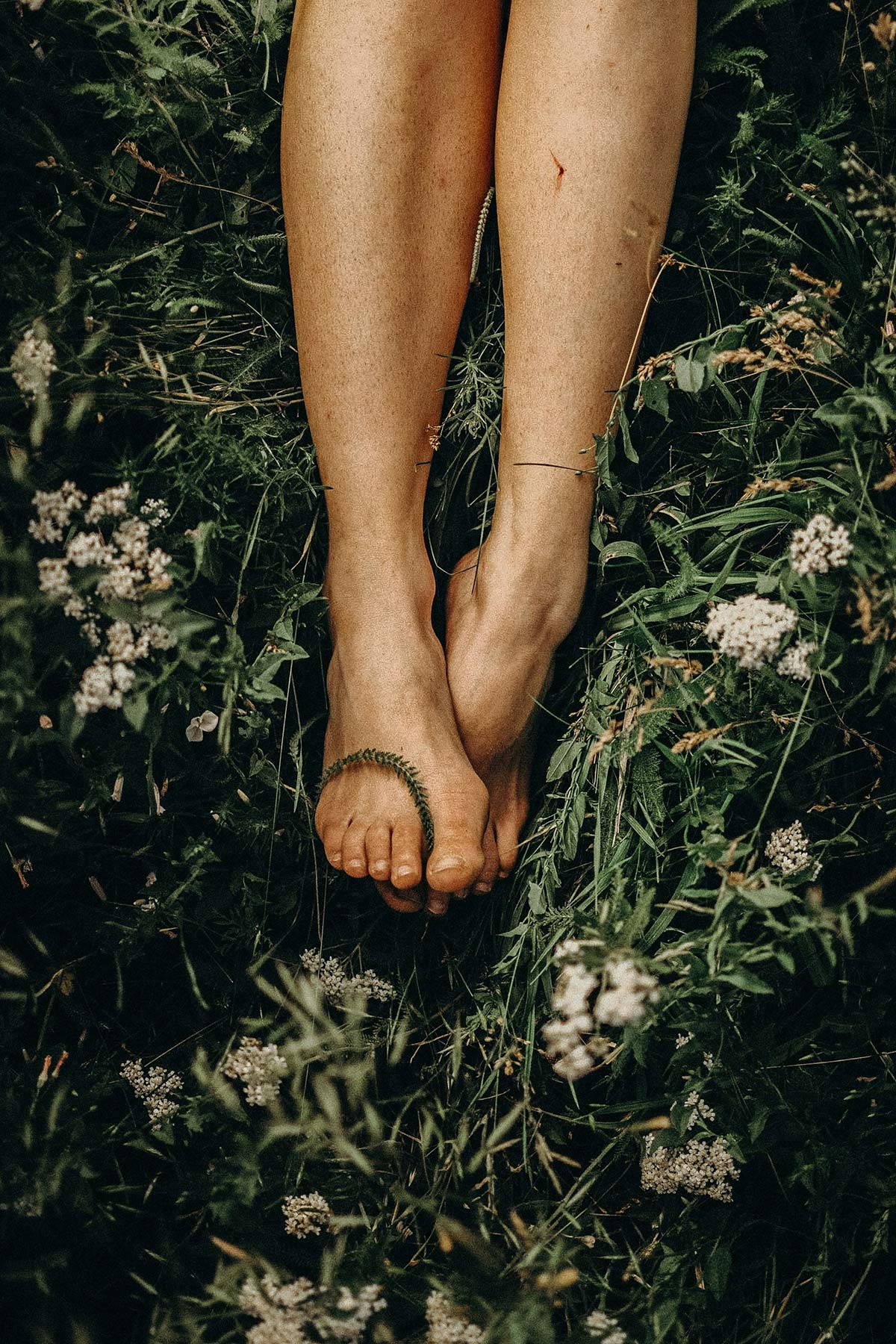 Füße auf der Sommerwiese Nackte Füße auf einer Sommerwiese – Funghi Funk Ergänzungspaket für die Fuß- und Nagelpflege