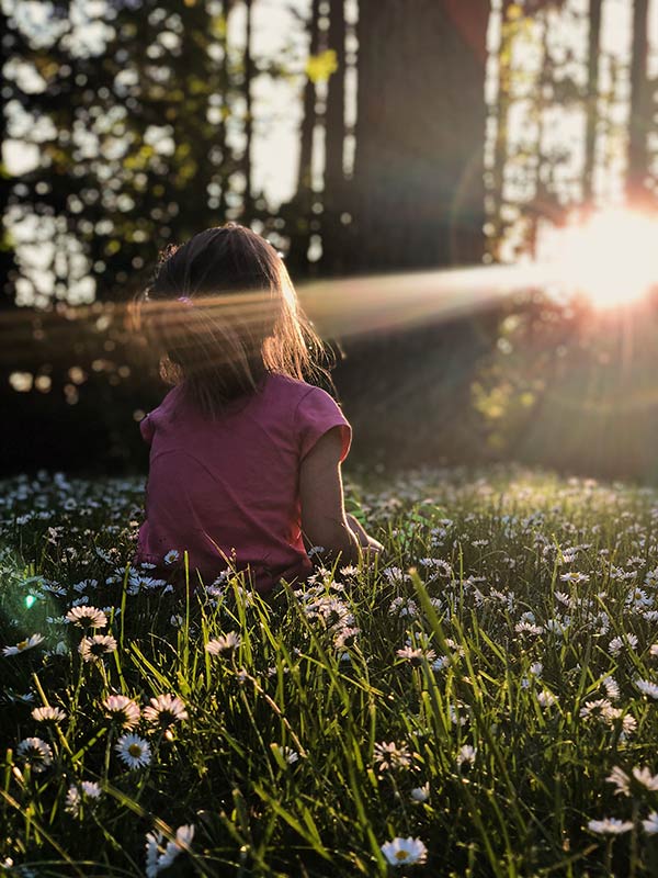 Gesundes Leben Sonne Licht Energie